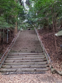 20191206185217511.jpg