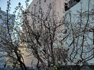 20200306071054949.jpg