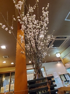 20200317112322032.jpg