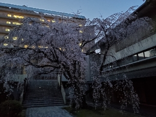 20200325212518852.jpg