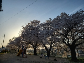 20200407063709050.jpg