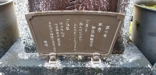 20200423083642108.jpg