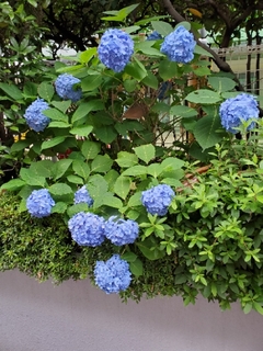 20200617071907675.jpg