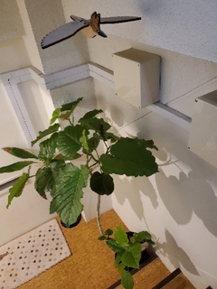 20200623071833980.jpg