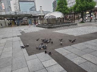 20200703071453079.jpg