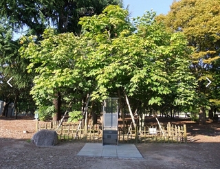 20200805203719198.jpg