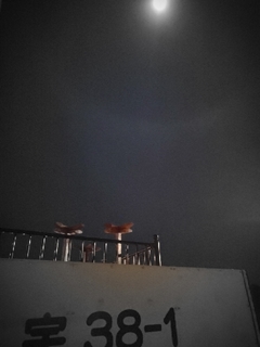 20201101075224180.jpg