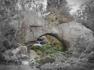 20201124065224808.jpg