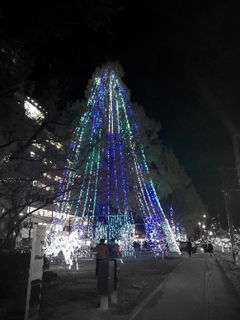 20201125062250081.jpg