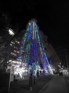 20201127070427691.jpg