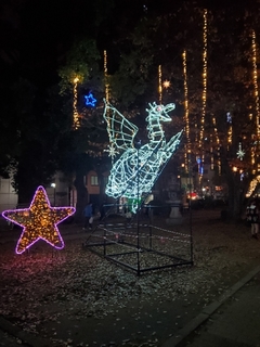 20201130064911493.jpg