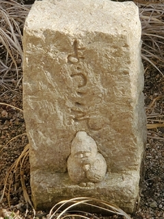 20210118230809446.jpg