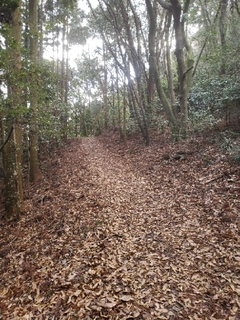 20210120064405653.jpg
